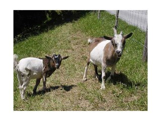 Lilli und Hilda...