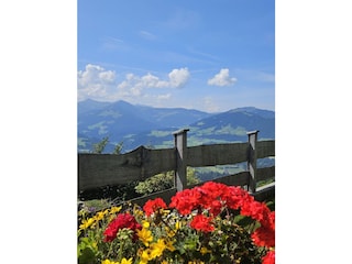 unser Ausblick...