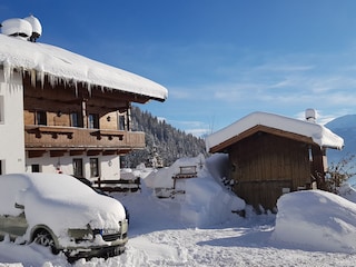 Winter