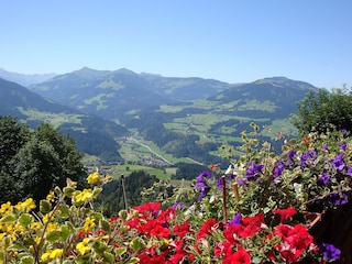 Unser Ausblick