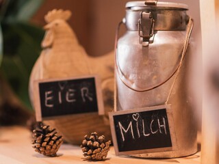 Appartamento per vacanze Vöran Caratteristiche 17