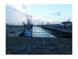 Hafen in Dorum