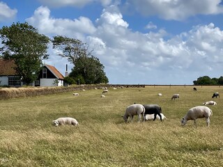 Villa De Koog Ambiente 37