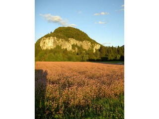 Appartamento per vacanze Faak am See Ambiente 32