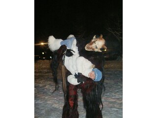 Appartamento per vacanze Faak am See Ambiente 38