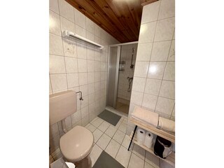 Vakantieappartement Faistenau Kenmerken 22