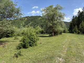 Nature