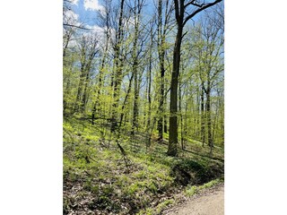 Burgstallwald
