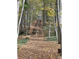 Herbst