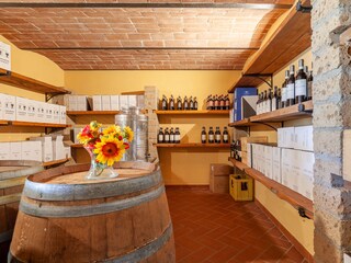 Vakantieappartement Peccioli Omgeving 21