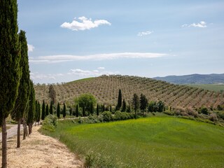 Holiday apartment Peccioli Outdoor Recording 10