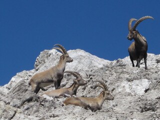 Appartamento per vacanze Oberstdorf Ambiente 12