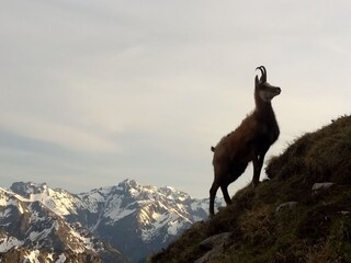 Appartamento per vacanze Oberstdorf Ambiente 8