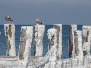 Winter an der Ostsee
