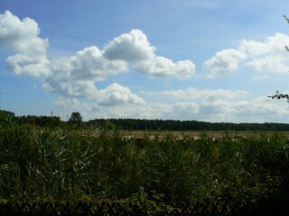 Casa per le vacanze Zingst Registrazione all'aperto 5