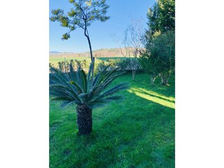 Casa per le vacanze Narni Registrazione all'aperto 9