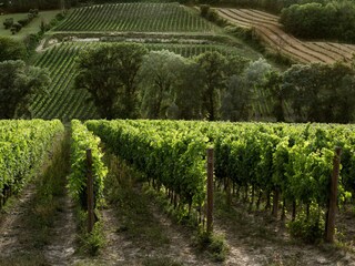 Casa per le vacanze Narni Ambiente 28