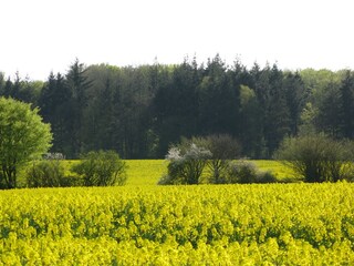 Appartamento per vacanze Maasholm Ambiente 18