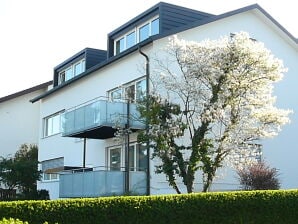 Holiday apartment Seeblick 1 - Konstanz - image1