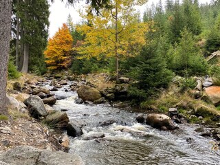 Wanderziel Jungenhengst