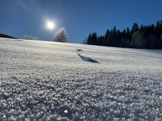 Blick auf die Bergwiesen im Winter