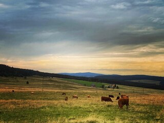 Vakantieappartement Eibenstock Omgeving 28