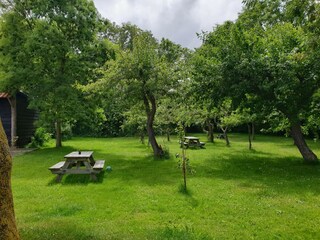 Appartamento per vacanze De Cocksdorp Registrazione all'aperto 6