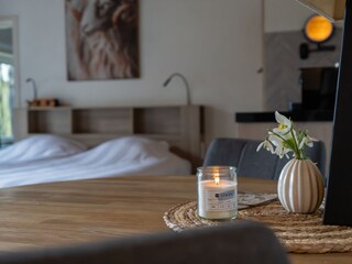 Appartamento per vacanze De Cocksdorp Caratteristiche 10