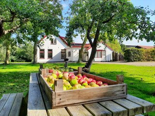 Appartamento per vacanze De Cocksdorp Registrazione all'aperto 5