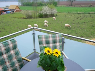 Ferienwohnung Rade bei Rendsburg Außenaufnahme 6