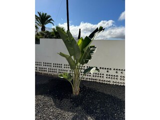 Casa per le vacanze Los Llanos de Aridane Registrazione all'aperto 12