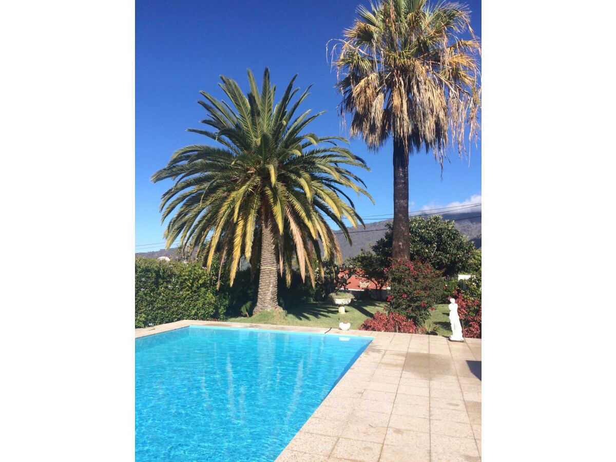 Pool mit Blick in den Garten