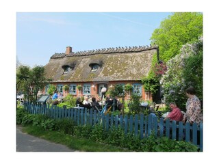 Vakantiehuis Langballigau Omgeving 35