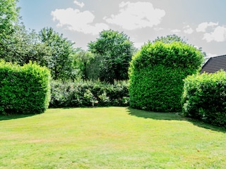 Ein großer, nicht eingezäunter Garten