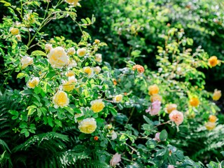 Casa per le vacanze Langballigau Registrazione all'aperto 10