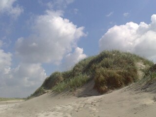 Ferienwohnung St. Peter-Ording Umgebung 31
