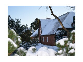 Ferienwohnung Westerland Außenaufnahme 13