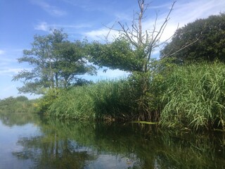 Kanutour auf der Schwentine