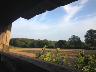 Hochstand mit dem Jäger