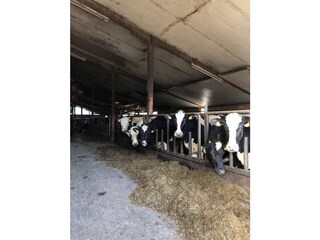 Ferienwohnung Midlum auf Föhr Umgebung 10
