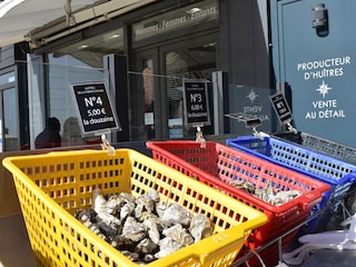 Appartement Saint-Côme-de-Fresné  23