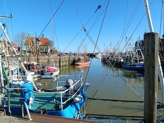 Hafen mit Fischerbooten in Neuharlingersiel