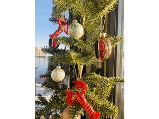 Casa galleggiante Lübeck-Schlutup Registrazione all'aperto 8