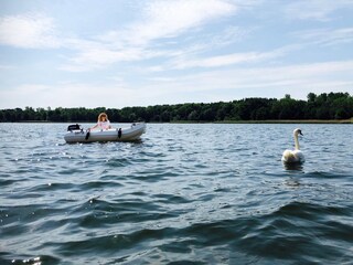 Barco casa Lübeck-Schlutup Entorno 35