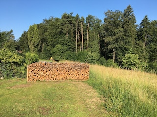 Das Holz für die Heizung kommt aus dem eigenen Wald