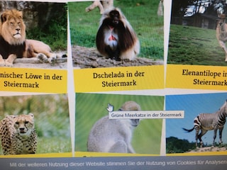 Der Tierpark Herberstein ist einen Besuch wert