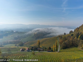 an der südsteirischen Weinstrasse