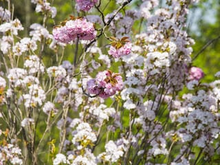 liebevoller Blumenschmuck ist uns wichtig