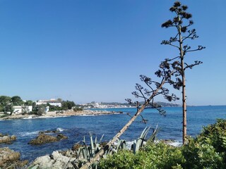 Appartamento per vacanze Cala Ratjada Ambiente 18