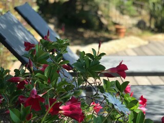 Villa Ile Rousse Entorno 21